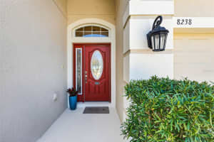 8238 WILLOW BEACH DRIVE, RIVERVIEW, FL 33578 - MLS#MFRTB8486959