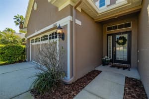 11618 WHITEROOK COURT, TAMPA, FL 33626 - MLS#MFRTB8486973