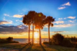 6327 RENELLIE COURT, TAMPA, FL 33616 - MLS#MFRTB8486982