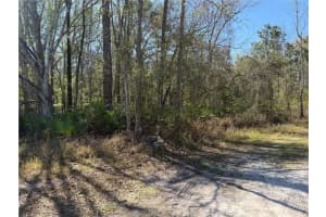 TBD TANNER ROAD, NEW PORT RICHEY, FL 34654 - MLS#MFRTB8487003