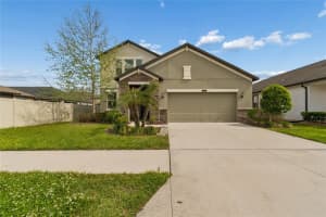 8960 SHADYSIDE LANE, LAND O LAKES, FL 34637 - MLS#MFRTB8487011