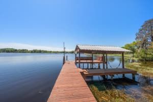 421 COUNTY LINE ROAD, LUTZ, FL 33549 - MLS#MFRTB8487018