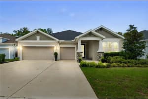 4911 LAKESHORE OAKS COURT, TAMPA, FL 33624 - MLS#MFRTB8487028