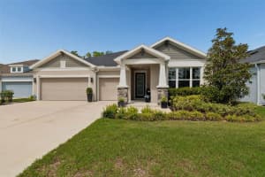 4911 LAKESHORE OAKS COURT, TAMPA, FL 33624 - MLS#MFRTB8487028