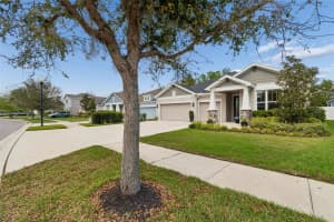 4911 LAKESHORE OAKS COURT, TAMPA, FL 33624 - MLS#MFRTB8487028