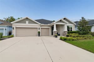 4911 LAKESHORE OAKS COURT, TAMPA, FL 33624 - MLS#MFRTB8487028