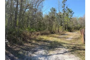 TBD TANNER ROAD, NEW PORT RICHEY, FL 34654 - MLS#MFRTB8487034
