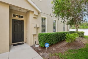 8734 MOONLIT MEADOWS LOOP, RIVERVIEW, FL 33578 - MLS#MFRTB8487061