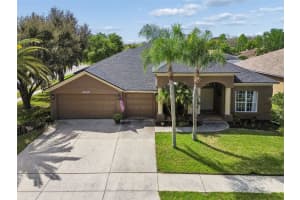 17906 SPARROWS NEST DRIVE, LUTZ, FL 33558 - MLS#MFRTB8487067