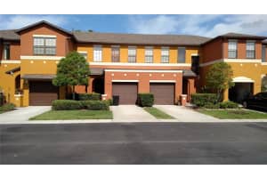 30105 Mossbank Dr, WESLEY CHAPEL