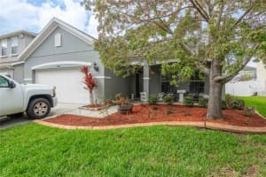 2814 Maple Brook Loop, LUTZ