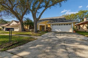 9613 CYPRESS BROOK ROAD, TAMPA, FL 33647 - MLS#MFRTB8487111