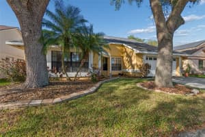 9613 CYPRESS BROOK ROAD, TAMPA, FL 33647 - MLS#MFRTB8487111