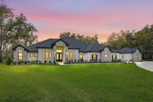 3317 CHASE JACKSON BRANCH, LUTZ, FL 33559 - MLS#MFRTB8487115