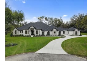 3317 CHASE JACKSON BRANCH, LUTZ, FL 33559 - MLS#MFRTB8487115