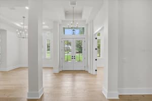 3317 CHASE JACKSON BRANCH, LUTZ, FL 33559 - MLS#MFRTB8487115