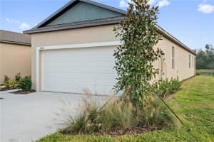 18156 PLEASANTVIEW BOULEVARD, LAND O LAKES, FL 34638 - MLS#MFRTB8487116