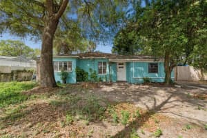 8730 N Calder Pl, TAMPA