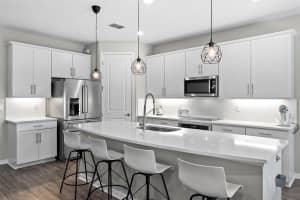 19261 MOSSY PINE DRIVE, TAMPA, FL 33647 - MLS#MFRTB8487160