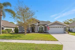 4766 STONEVIEW CIRCLE, OLDSMAR, FL 34677 - MLS#MFRTB8487161