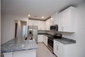 18267 TURNING LEAF CIRCLE, LAND O LAKES, FL 34638 - MLS#MFRTB8487167