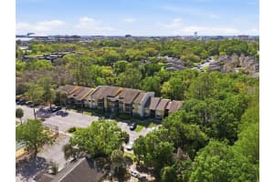 13285 ARBOR POINTE CIRCLE, TAMPA, FL 33617 - MLS#MFRTB8487175
