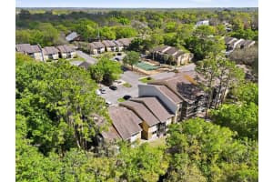 13285 ARBOR POINTE CIRCLE, TAMPA, FL 33617 - MLS#MFRTB8487175