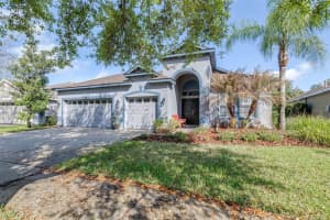 16320 BRIDGEWALK DRIVE, LITHIA, FL 33547 - MLS#MFRTB8487179
