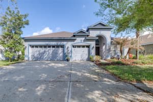 16320 BRIDGEWALK DRIVE, LITHIA, FL 33547 - MLS#MFRTB8487179