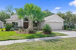 8263 SWANN HOLLOW DRIVE, TAMPA, FL 33647 - MLS#MFRTB8487183