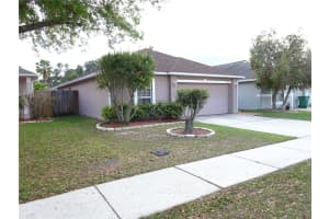 30238 RATTANA COURT, WESLEY CHAPEL, FL 33545 - MLS#MFRTB8487184