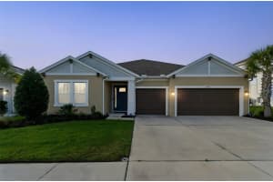 2354 HIGH TIDES WAY, WESLEY CHAPEL, FL 33543 - MLS#MFRTB8487193