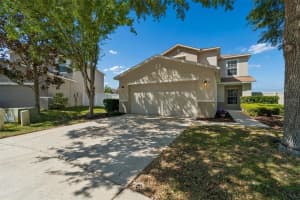 9515 Simeon Dr, LAND O LAKES