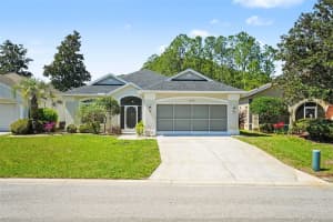 10093 HOLLY BERRY DRIVE, WEEKI WACHEE, FL 34613 - MLS#MFRTB8487225