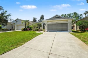 10093 HOLLY BERRY DRIVE, WEEKI WACHEE, FL 34613 - MLS#MFRTB8487225