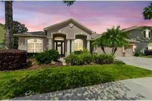 3400 MARBLE CREST DRIVE, LAND O LAKES, FL 34638 - MLS#MFRTB8487233