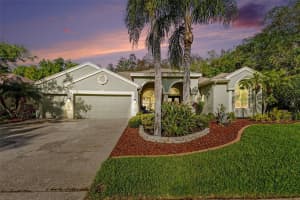 4491 Fallbrook Blvd, PALM HARBOR