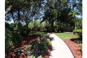 11901 4TH STREET, ST PETERSBURG, FL 33716 - MLS#MFRTB8487242