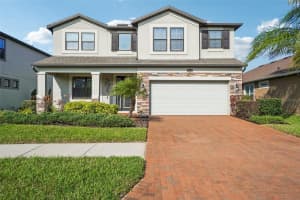 19209 LONG LAKE RANCH BOULEVARD, LUTZ, FL 33558 - MLS#MFRTB8487243