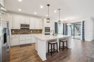 19209 LONG LAKE RANCH BOULEVARD, LUTZ, FL 33558 - MLS#MFRTB8487243