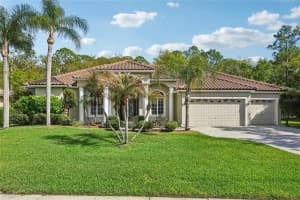 4931 TURTLE CREEK TRAIL, OLDSMAR, FL 34677 - MLS#MFRTB8487275