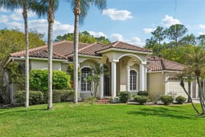 4931 TURTLE CREEK TRAIL, OLDSMAR, FL 34677 - MLS#MFRTB8487275