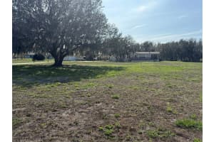 17011 ALDERMAN TURNER ROAD, WIMAUMA, FL 33598 - MLS#MFRTB8487284