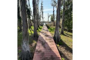 17011 ALDERMAN TURNER ROAD, WIMAUMA, FL 33598 - MLS#MFRTB8487284