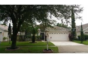 13523 White Elk Loop, TAMPA