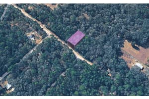 10452 DUNEDIN ROAD, DUNNELLON, FL 34433 - MLS#MFRTB8487297
