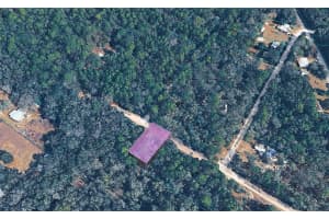 10452 DUNEDIN ROAD, DUNNELLON, FL 34433 - MLS#MFRTB8487297