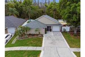 11914 SUGAR TREE DRIVE, TAMPA, FL 33625 - MLS#MFRTB8487316