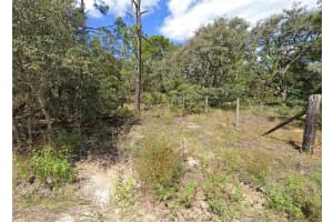 16513-16515 BREAKWATER LANE, SPRING HILL, FL 34610 - MLS#MFRTB8487363