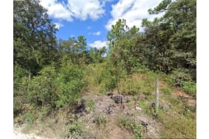 16513-16515 BREAKWATER LANE, SPRING HILL, FL 34610 - MLS#MFRTB8487363